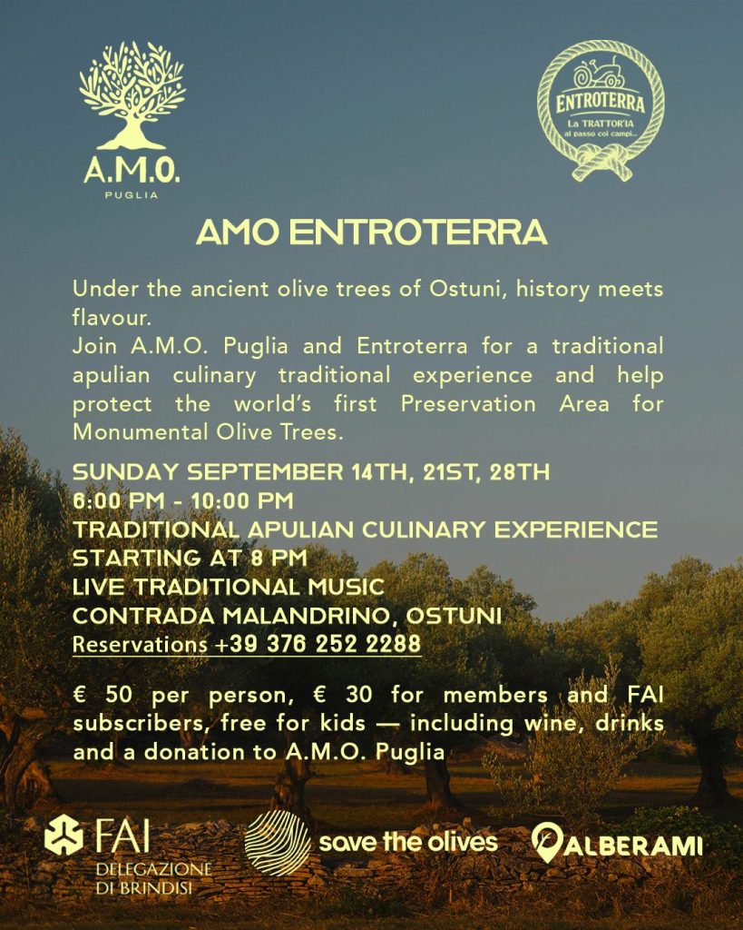 AMO ENTROTERRA
